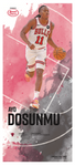 The Chicago Bulls' Ayo Dosunmu - Sports Fan Poster 8/8